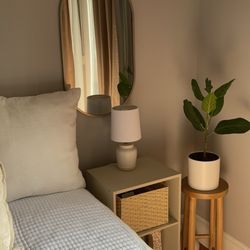 Olympia Flower Store - House plant