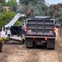Shoreline Excavation and Grading