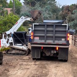 Shoreline Excavation and Grading