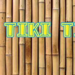 Beachy Tiki Tour Boat