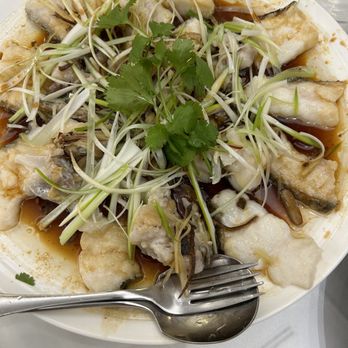 Prince Seafood Restaurant - Steamed ling cod with ginger and green onions - Dim Sum Near Me - Vancouver, British Columbia Prince Seafood Restaurant - Steamed ling cod with ginger and green onions - Dim Sum Near Me - Vancouver, British Columbia