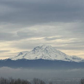 Grandview Off Leash Park - Grand view - Dog Parks Near Me - SeaTac, Washington