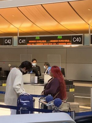 All Nippon Airways by null