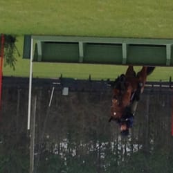 The Vista Schooling and Event Center