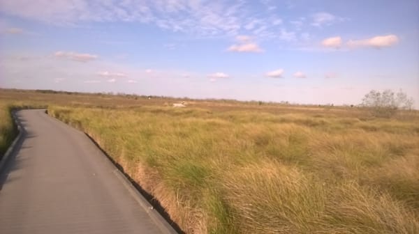 Palo Alto Battlefield National Historical Park by null