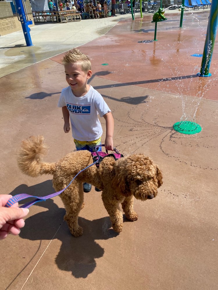 RILEY SWIMMING POOL CITY OF GREENFIELD Updated August 2024 300