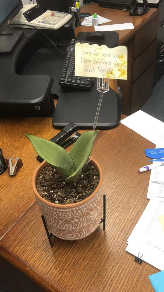 HOLDREGE FLORAL Updated October 2024 518 East Ave, Holdrege, Nebraska Florists Phone