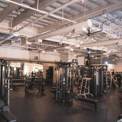 NEWD GYM - 8 Stack Cable machine