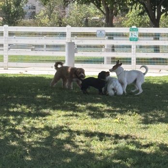 Crazy About Dachshunds - Pet Breeders Near Me