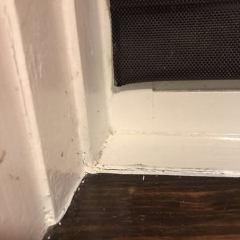 Chili's - Ants on the window ledge - Bars Near Me - Poughkeepsie, New York