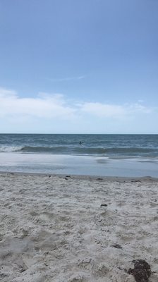 The Escalante by null