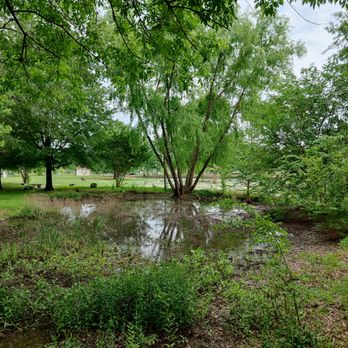 MacArthur Park - Here's a nice little swamp. The water is black. - Museums Near Me - Little Rock, Arkansas MacArthur Park - Here's a nice little swamp. The water is black. - Museums Near Me - Little Rock, Arkansas