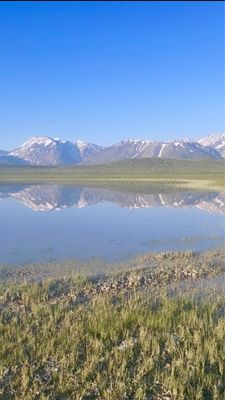 Wild Willy's Hot Spring by null