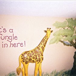 Design Freak - Murals