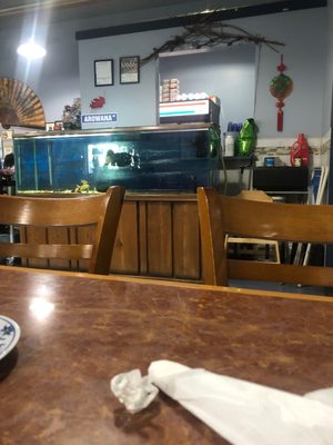 Pho Hoa One Restaurant by null