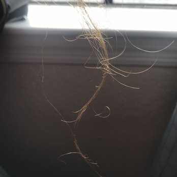 Tribeca ColorSalon - Hair Extensions Near Me - Tampa, Florida Tribeca ColorSalon - Hair Extensions Near Me - Tampa, Florida