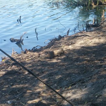 Guajome Regional Park - Fishing no luck - Parks Near Me - Oceanside, California