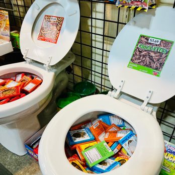 The Candy Wizard - Bugs in toilets - Candy Stores Near Me - Kansas City, Missouri The Candy Wizard - Bugs in toilets - Candy Stores Near Me - Kansas City, Missouri