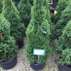 Forge River Nursery and Garden Center