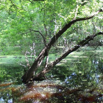 River Legacy Parks - Hiking Near Me - Arlington, Texas River Legacy Parks - Hiking Near Me - Arlington, Texas