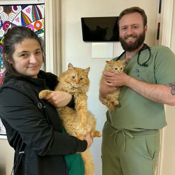 All Animal Hospital of Tupelo - All Animal staff with pets - Veterinarians Near Me - Tupelo, Mississippi All Animal Hospital of Tupelo - All Animal staff with pets - Veterinarians Near Me - Tupelo, Mississippi