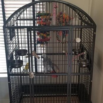 Denise's Parrot Place - Cage we purchased from Denise's Parrot Place - Bird Shops Near Me - Mercer Island, Washington