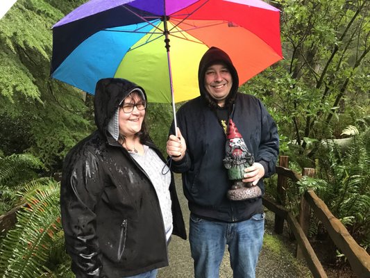 Prehistoric Gardens by null