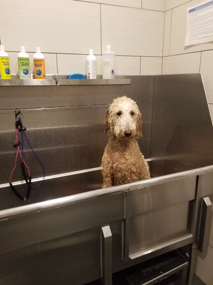 THE WHOLE DOG MARKET HOMEWOOD 25 Photos & 17 Reviews 2937 18th St S