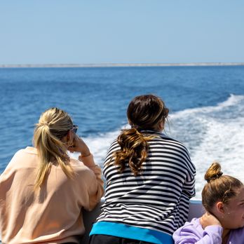 Premier Dolphin Cruise - Dolphin Watch - Boating Near Me - Pensacola Beach, Florida Premier Dolphin Cruise - Dolphin Watch - Boating Near Me - Pensacola Beach, Florida