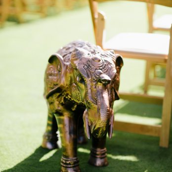 Floral Creations By Nasreen - Elephant decor provided by Nasreen. Photo by Chelsea Dier Photography. - Wedding Planning Near Me Floral Creations By Nasreen - Elephant decor provided by Nasreen. Photo by Chelsea Dier Photography. - Wedding Planning Near Me