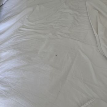 Tropical Breeze Resort - Dirty sheets 3 days old. Son had cookies. Lol - Resorts Near Me - Sarasota, Florida