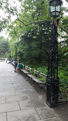 City Hall Park Greenmarket by null