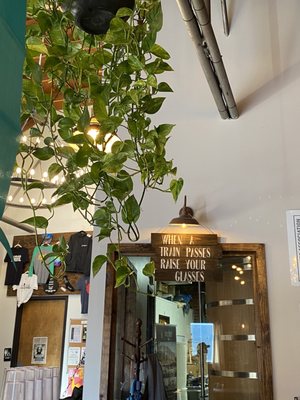 Divine Barrel Brewing by null