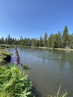 LaPine State Park by null