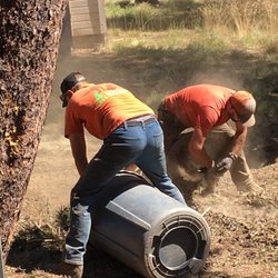 4 Brothers Tree Service - 4 Brothers Tree Service- Redmond