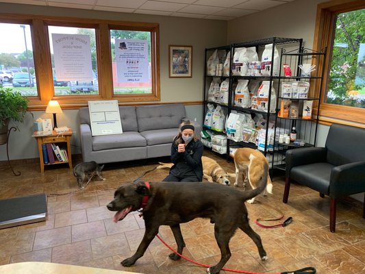 VET PARTNERS PET HOSPITAL - APPLE VALLEY - Updated June 2026 - 13 ...