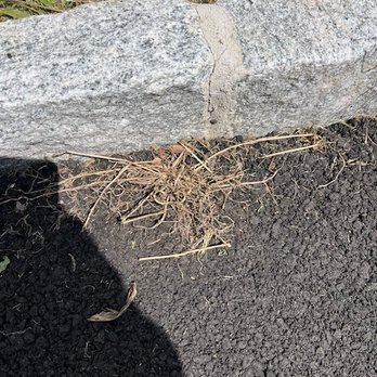Elmer Zacarias Stone Masonry - Weeds - Masonry/Concrete Near Me