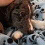 Photo of All Creatures Veterinary Emergency Clinic