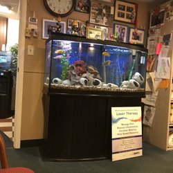 D'agostino Chiropractic & Associates