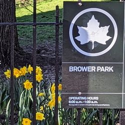 Brower Park - April 2, 2023.
