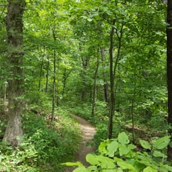 Lost Valley Mountain Bike Trail