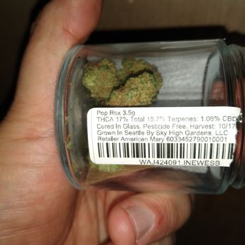 American Mary - Sky High Gardens LLC. Grown in Seattle - Cannabis Clinics Near Me - Seattle, Washington