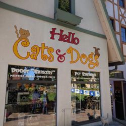 Hello Cats and Dogs
