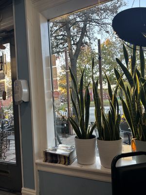 Fritanga Nicaraguan Cuisine by null