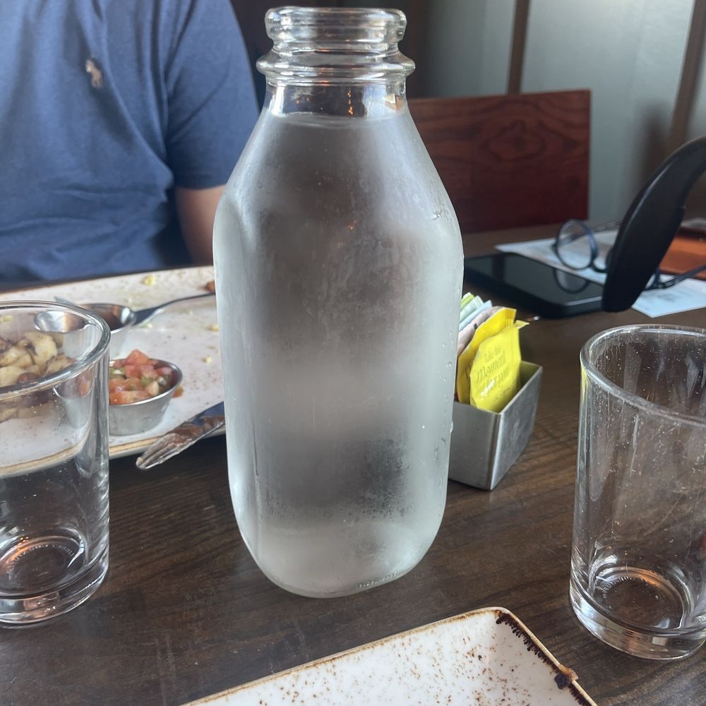 First Watch - Adorable water jug! - Breakfast & Brunch Near Me - Phoenix, Arizona
