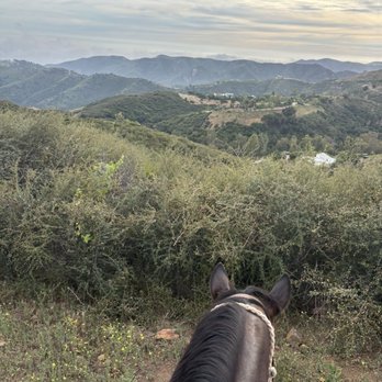 High Horse Malibu - Horseback Riding Near Me - Malibu, California