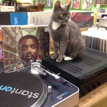 White Rabbit Records - Burger cat - Vinyl Records Near Me - Fullerton, California White Rabbit Records - Burger cat - Vinyl Records Near Me - Fullerton, California