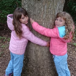 Westonbirt Arboretum