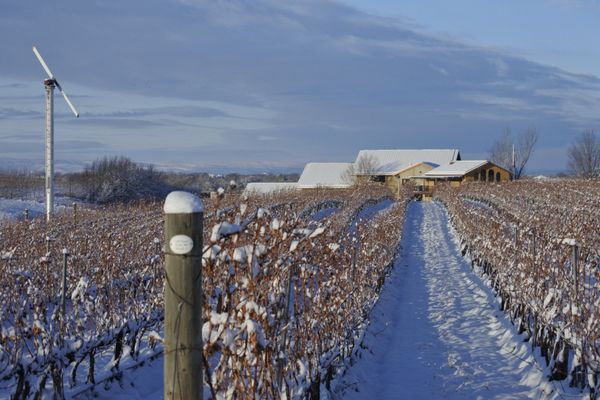 Pepper Bridge Winery by null