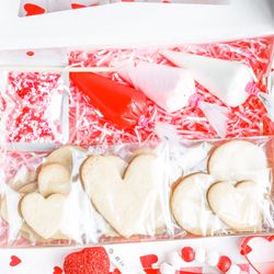 A Pretty Smart Cookie - Valentine's Day DIY kit